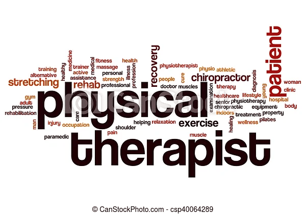 physical therapist